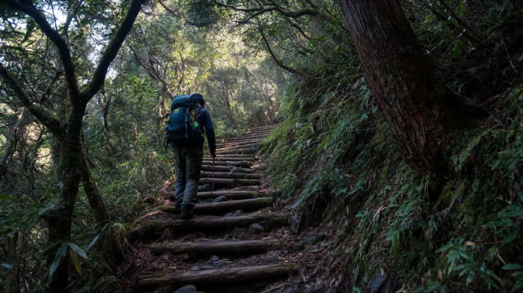 自転車以外の運動としてランニングや登山に取り組む日本人の健康的な姿